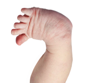 a4